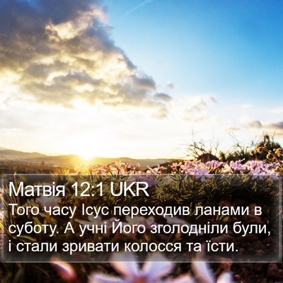 Матвія 12:1 UKR Bible Verse Image