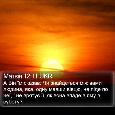 Матвія 12:11 UKR Bible Verse Image