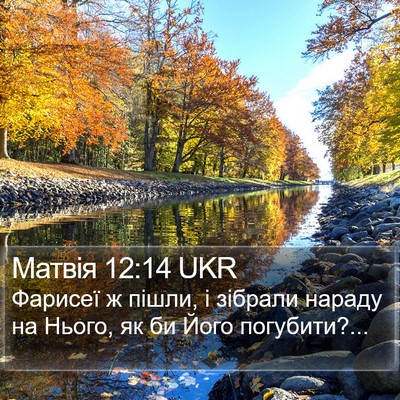 Матвія 12:14 UKR Bible Verse Image