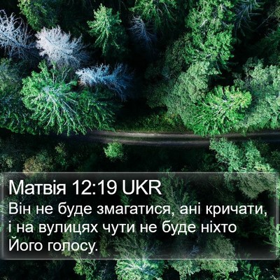 Матвія 12:19 UKR Bible Verse Image