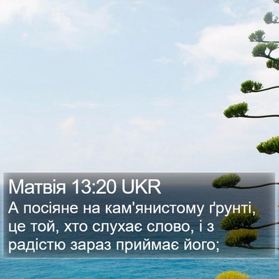 Матвія 13:20 UKR Bible Verse Image
