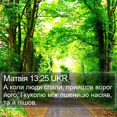 Матвія 13:25 UKR Bible Verse Image