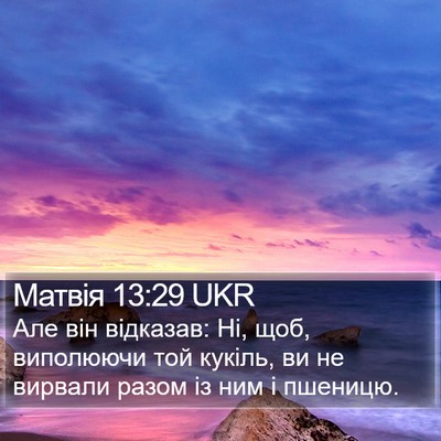 Матвія 13:29 UKR Bible Verse Image