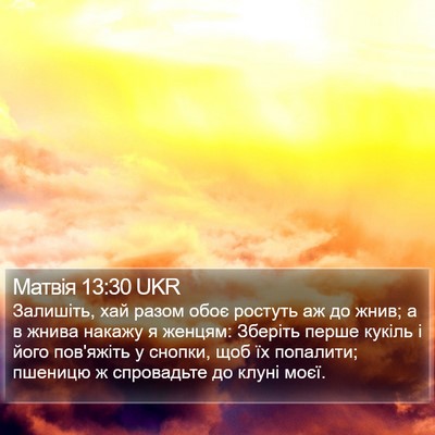 Матвія 13:30 UKR Bible Verse Image