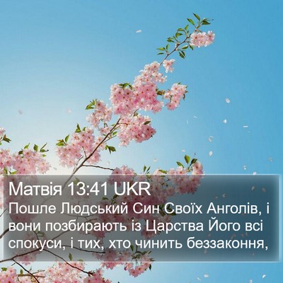 Матвія 13:41 UKR Bible Verse Image