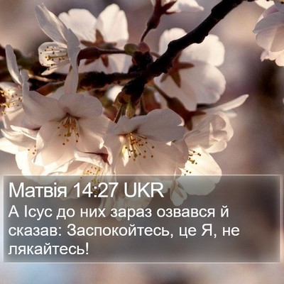 Матвія 14:27 UKR Bible Verse Image