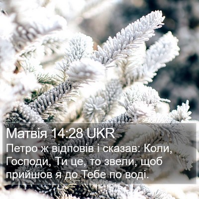 Матвія 14:28 UKR Bible Verse Image