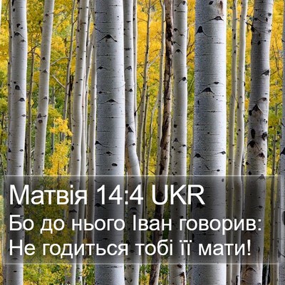 Матвія 14:4 UKR Bible Verse Image