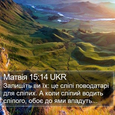 Матвія 15:14 UKR Bible Verse Image