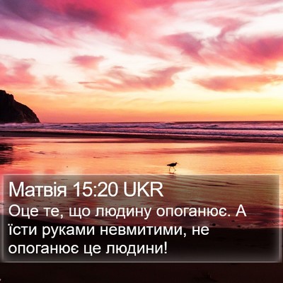 Матвія 15:20 UKR Bible Verse Image