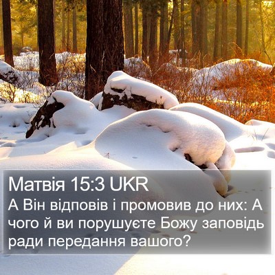 Матвія 15:3 UKR Bible Verse Image