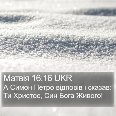 Матвія 16:16 UKR Bible Verse Image