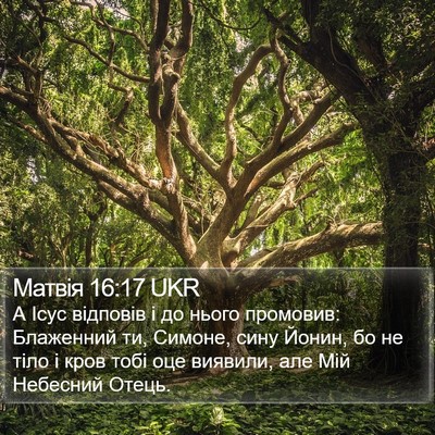 Матвія 16:17 UKR Bible Verse Image