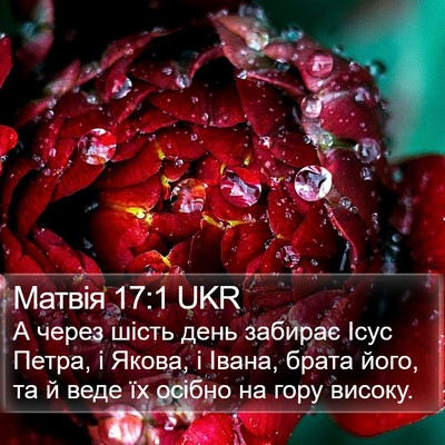 Матвія 17:1 UKR Bible Verse Image
