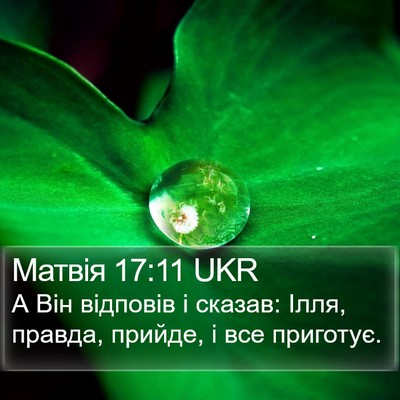 Матвія 17:11 UKR Bible Verse Image