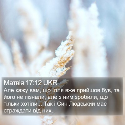 Матвія 17:12 UKR Bible Verse Image