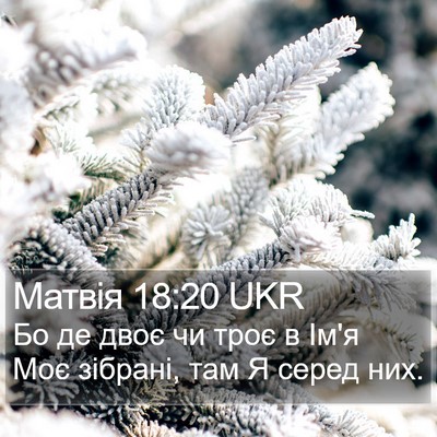 Матвія 18:20 UKR Bible Verse Image