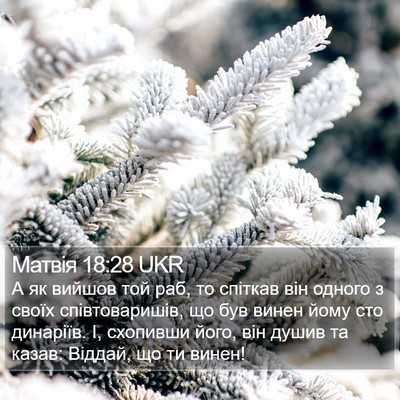 Матвія 18:28 UKR Bible Verse Image