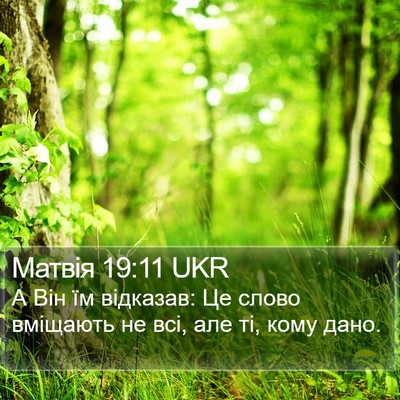 Матвія 19:11 UKR Bible Verse Image