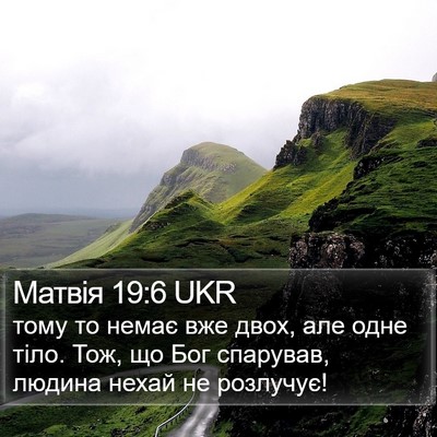 Матвія 19:6 UKR Bible Verse Image
