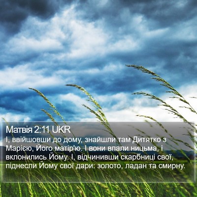 Матвія 2:11 UKR Bible Verse Image
