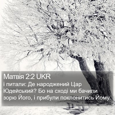 Матвія 2:2 UKR Bible Verse Image