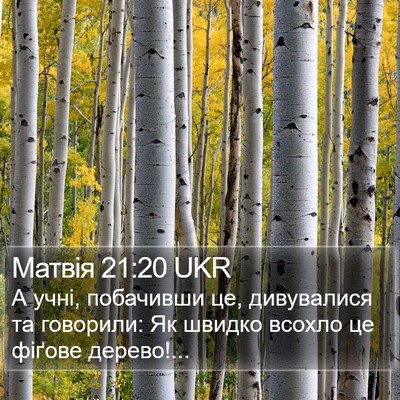 Матвія 21:20 UKR Bible Verse Image