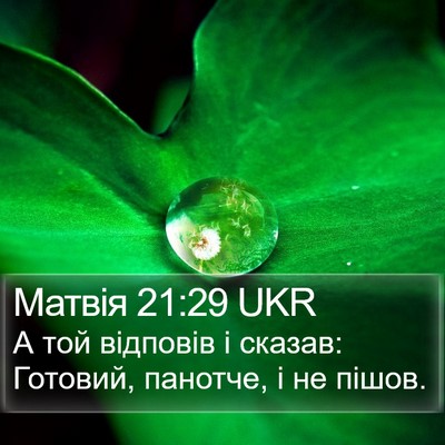 Матвія 21:29 UKR Bible Verse Image