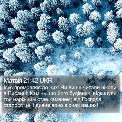 Матвія 21:42 UKR Bible Verse Image