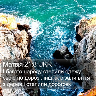 Матвія 21:8 UKR Bible Verse Image
