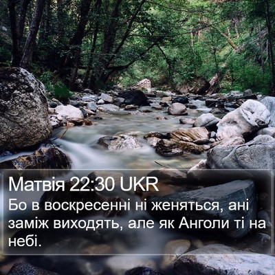 Матвія 22:30 UKR Bible Verse Image