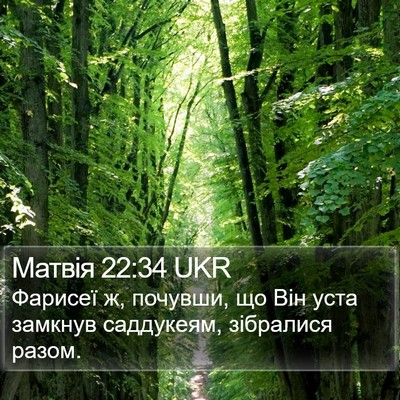 Матвія 22:34 UKR Bible Verse Image
