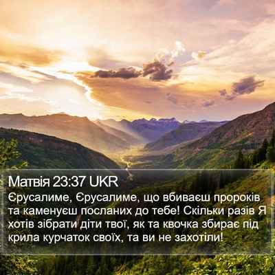 Матвія 23:37 UKR Bible Verse Image