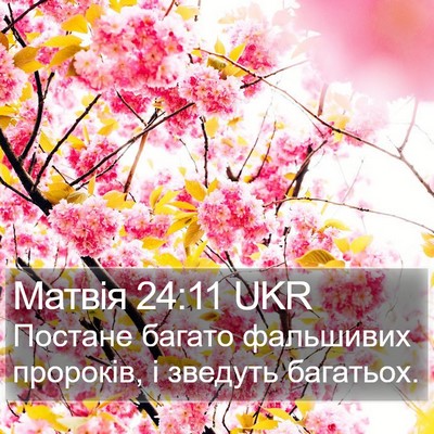 Матвія 24:11 UKR Bible Verse Image