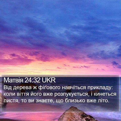 Матвія 24:32 UKR Bible Verse Image