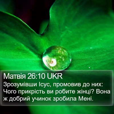 Матвія 26:10 UKR Bible Verse Image