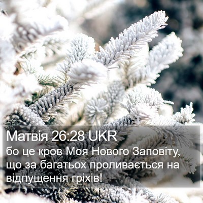 Матвія 26:28 UKR Bible Verse Image