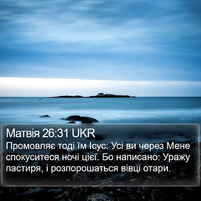 Матвія 26:31 UKR Bible Verse Image