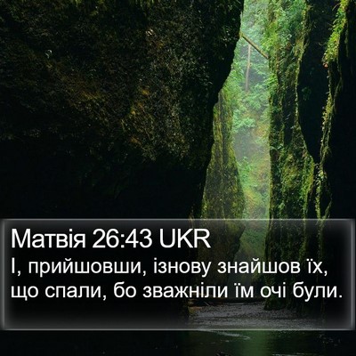 Матвія 26:43 UKR Bible Verse Image