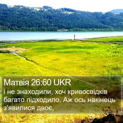 Матвія 26:60 UKR Bible Verse Image