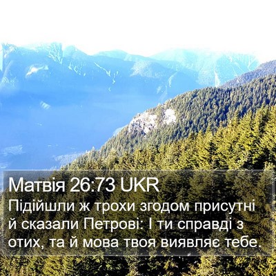 Матвія 26:73 UKR Bible Verse Image