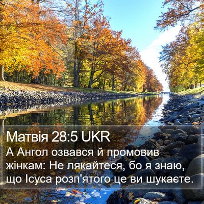 Матвія 28:5 UKR Bible Verse Image