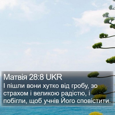 Матвія 28:8 UKR Bible Verse Image