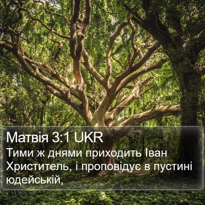 Матвія 3:1 UKR Bible Verse Image