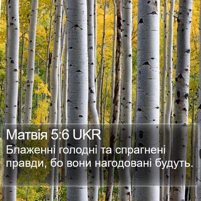 Матвія 5:6 UKR Bible Verse Image