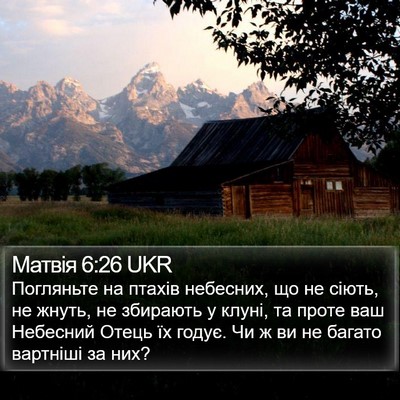 Матвія 6:26 UKR Bible Verse Image