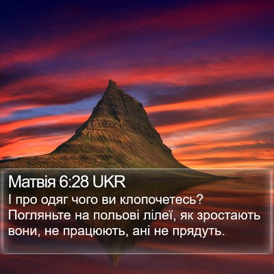 Матвія 6:28 UKR Bible Verse Image