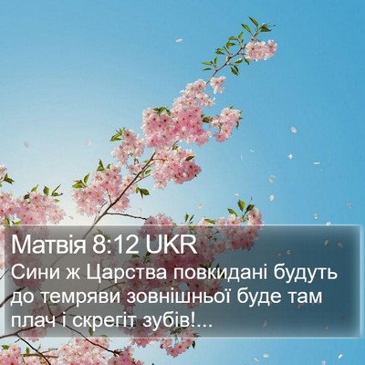 Матвія 8:12 UKR Bible Verse Image