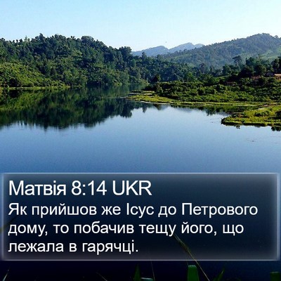 Матвія 8:14 UKR Bible Verse Image