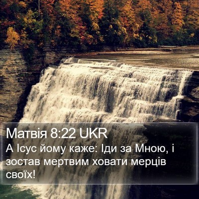 Матвія 8:22 UKR Bible Verse Image